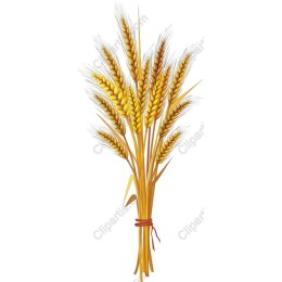 Vibrant Wheat Bouquet