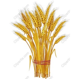 Golden Wheat Sheaf