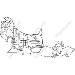 Playful Scottish Terrier and Puppy