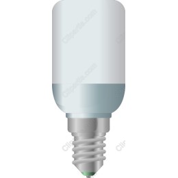 Premium Light Bulb