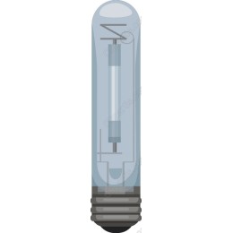 Classic Light Bulb
