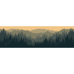 Serene Forest Dawn