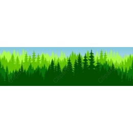 Lush Forest Landscape