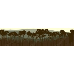 Forest Serenity