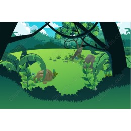 Lush Jungle Landscape