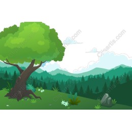 Lush Nature Landscape