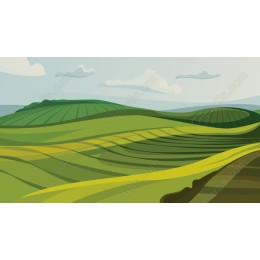 Rolling Green Hills