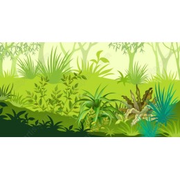 Lush Green Landscape