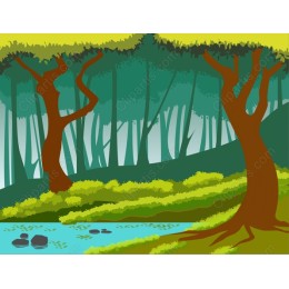 Serene Forest Landscape