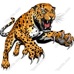 Fierce Roaring Jaguar