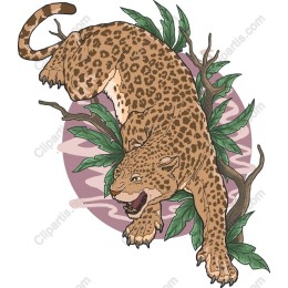 Fierce Leopard in Nature