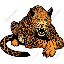 Fierce Leopard
