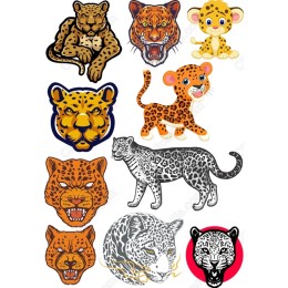 Leopard Collection - Bundle