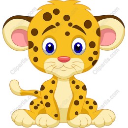Playful Leopard Cub