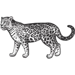 Vintage Leopard