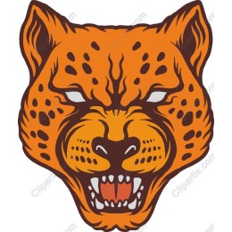 Fierce Leopard Head