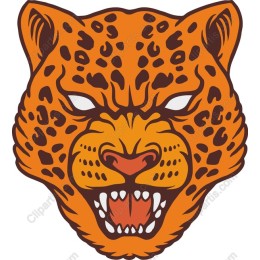 Fierce Leopard Head