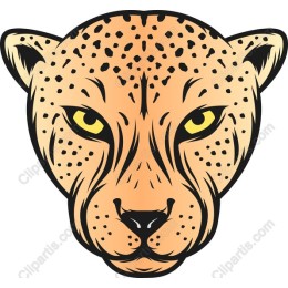Vibrant Cheetah Head