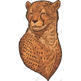 Majestic Cheetah