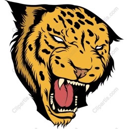 Roaring Leopard