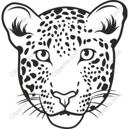 Leopard Face