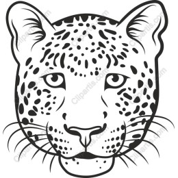 Leopard Head