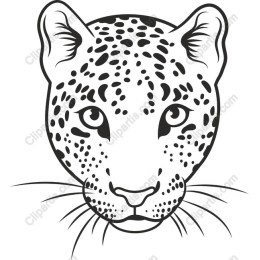 Leopard Head