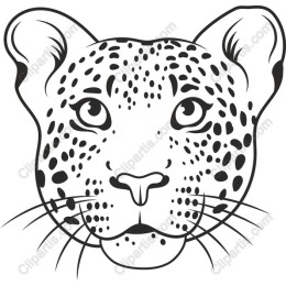 Leopard Face