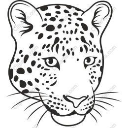 Majestic Leopard Head