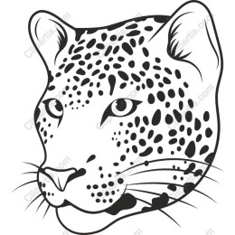 Leopard Head