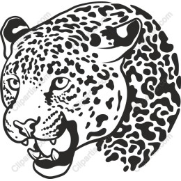Fierce Jaguar Head