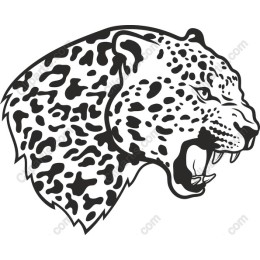 Leopard Head