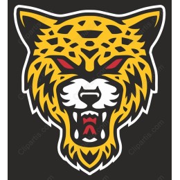 Fierce Leopard Head