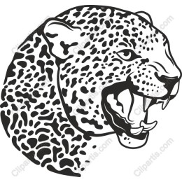 Fierce Leopard Head