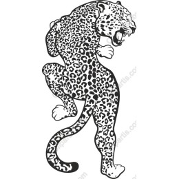 Fierce Leopard