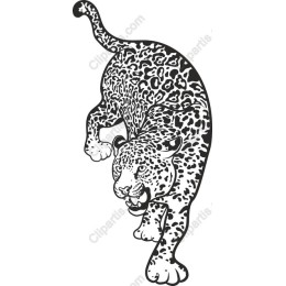 Leopard - Dynamic Leaping
