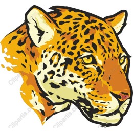 Wild Leopard