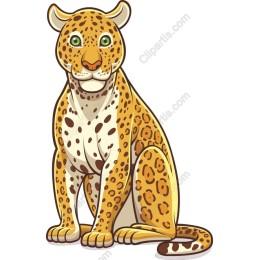 Playful Leopard