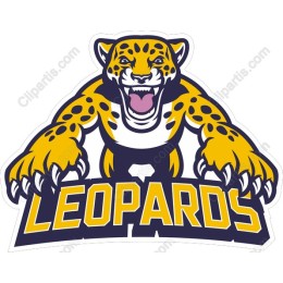 Fierce Leopard