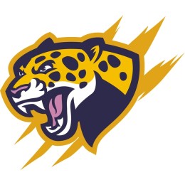 Fierce Leopard Head