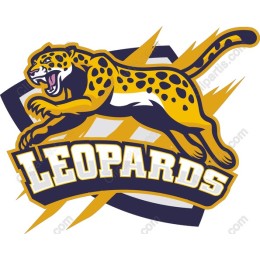 Fierce Leopard