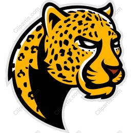 Leopard Head
