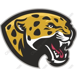 Fierce Jaguar Head