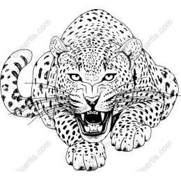 Fierce Leopard