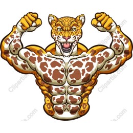 Muscular Leopard