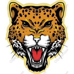 Fierce Leopard Head