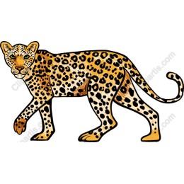 Majestic Leopard