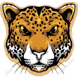 Jaguar Head