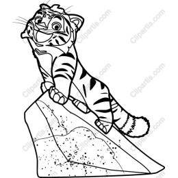 Playful Tiger Cub