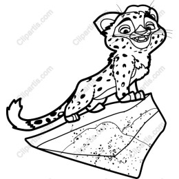 Charming Cheetah Cub